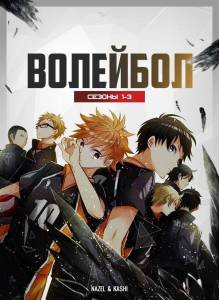 Волейбол (аниме сериал 2014)